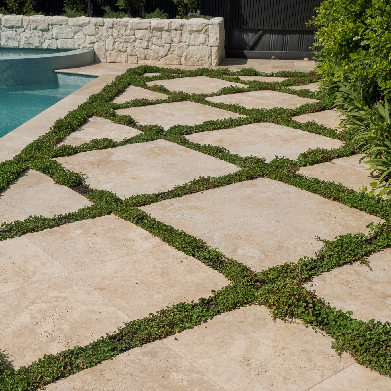 PLUS SEALER 'THE NEXT LEVEL'