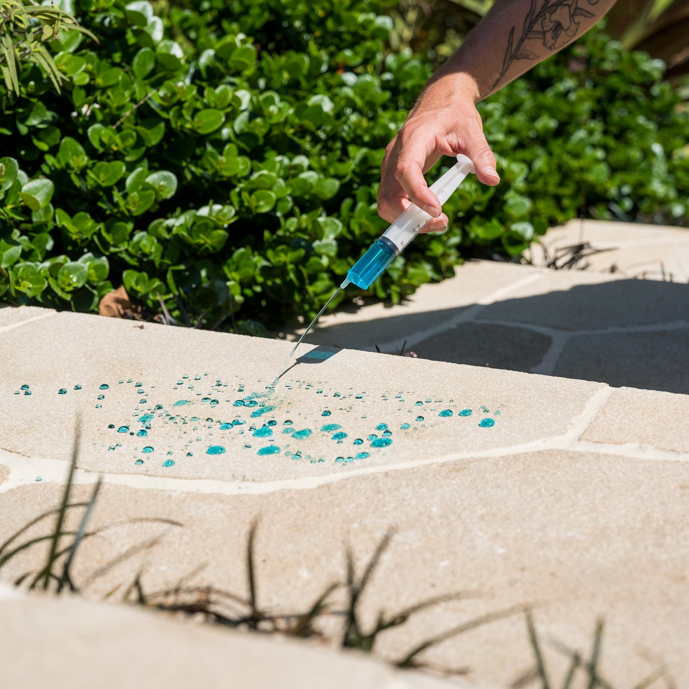 PLUS SEALER 'THE NEXT LEVEL'