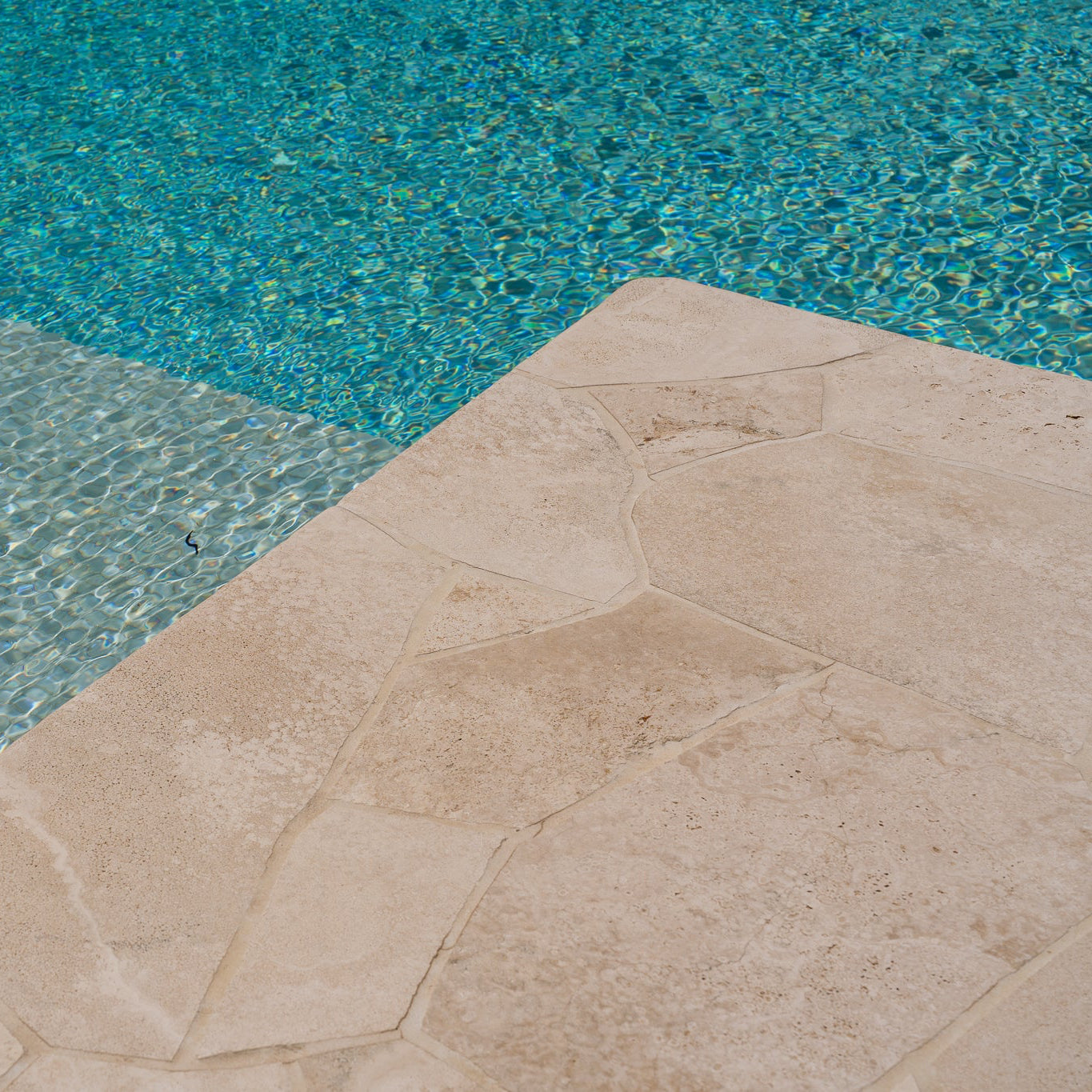 PLUS SEALER 'THE NEXT LEVEL'